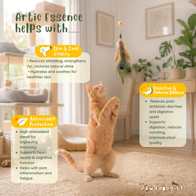 Artic Essence - Norwegian TG Omega Fish Oil & Krill Oil